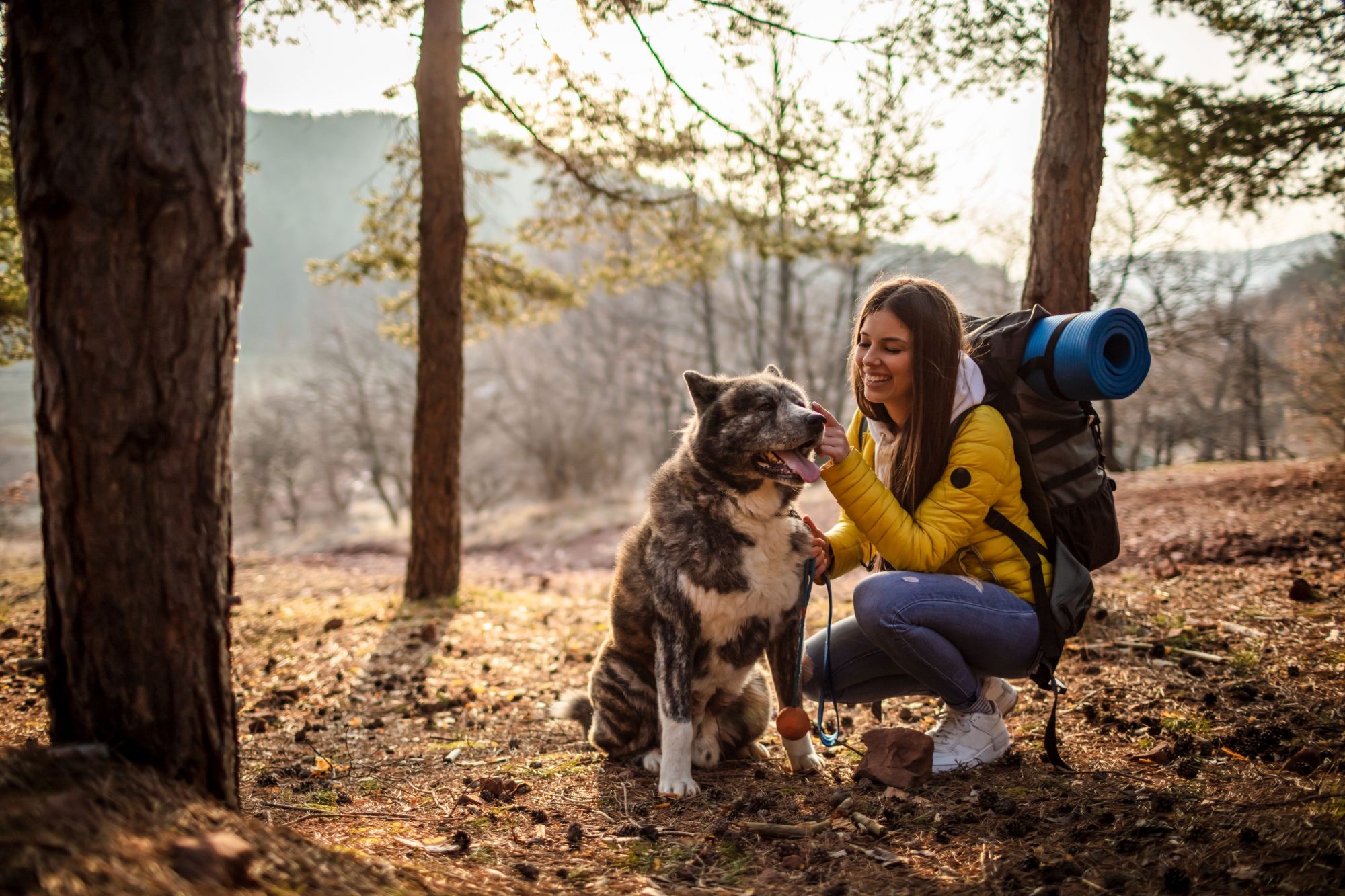 Hiking in the woods with dog