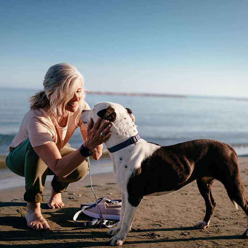 Woman and dog on the beach Woman and dog on the beach