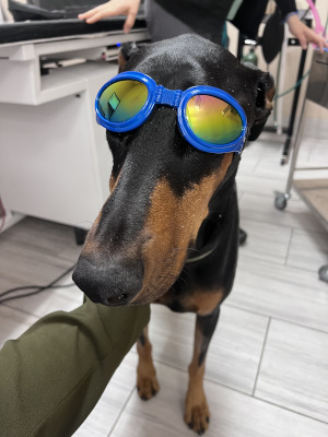Laser therapy Laser therapy