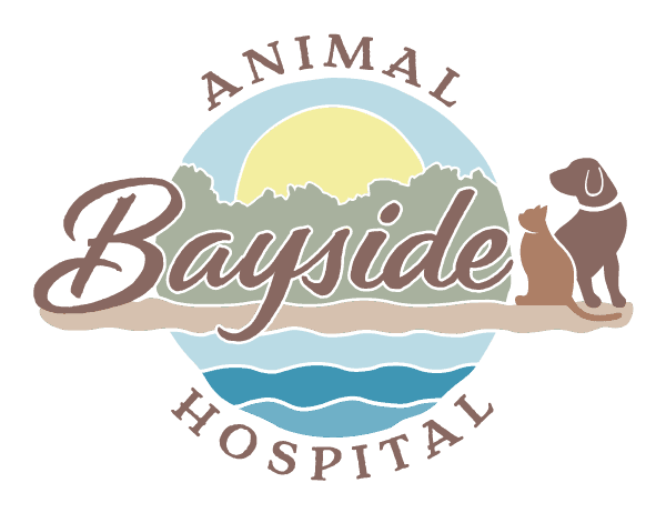 Bayside Animal Hospital